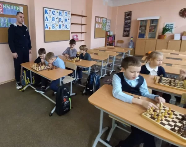 Шахматы